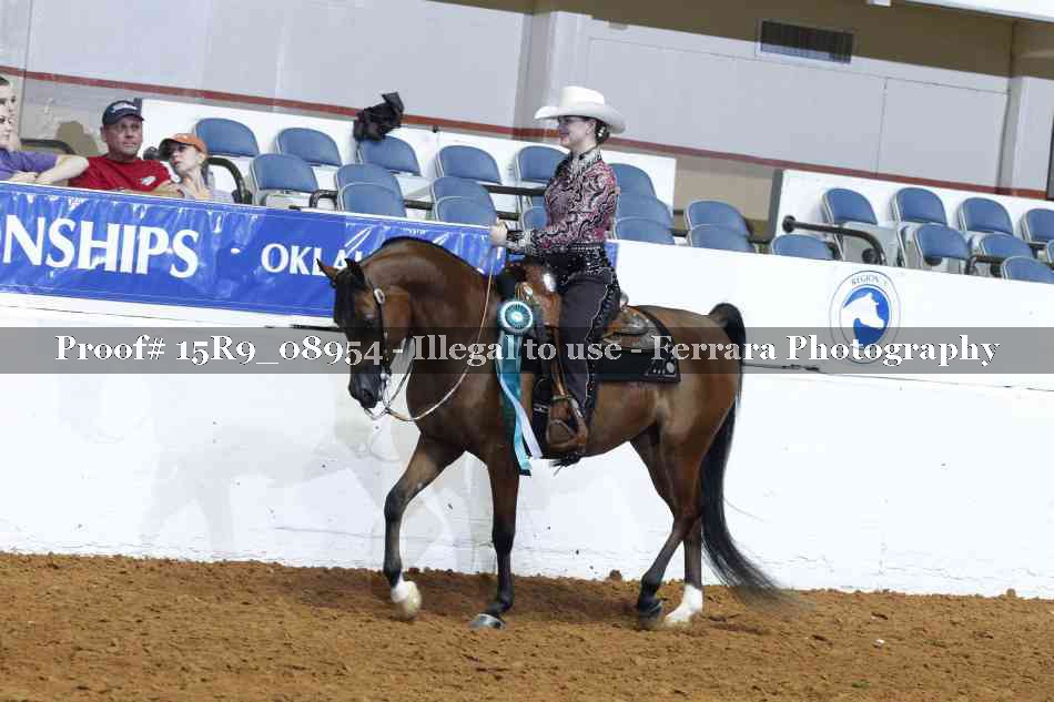 Proof Number 15R9_08954