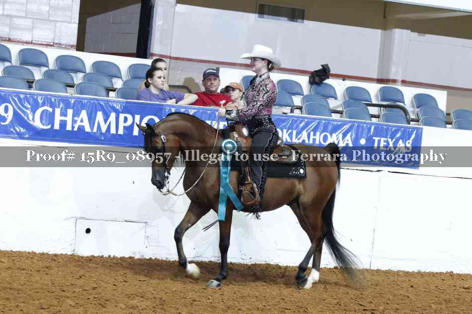 Proof Number 15R9_08957