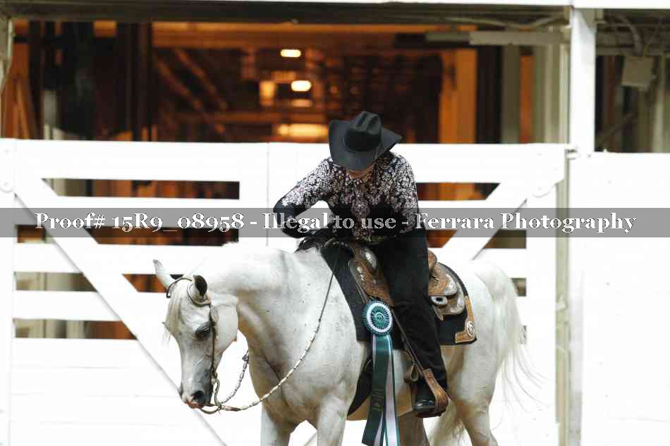 Proof Number 15R9_08958