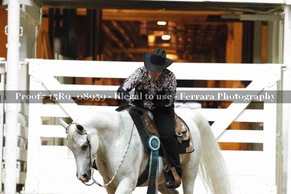 Proof Number 15R9_08959