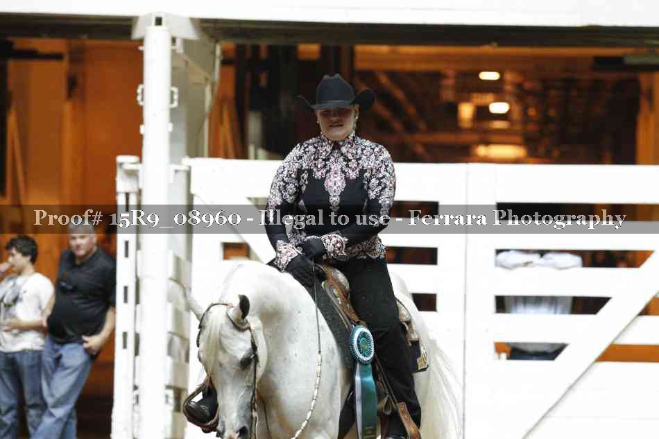 Proof Number 15R9_08960