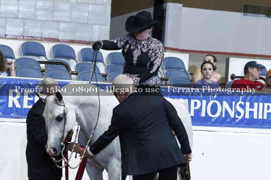 Proof Number 15R9_08961