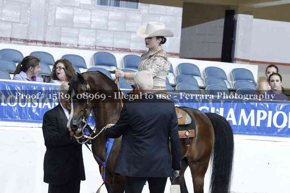 Proof Number 15R9_08969