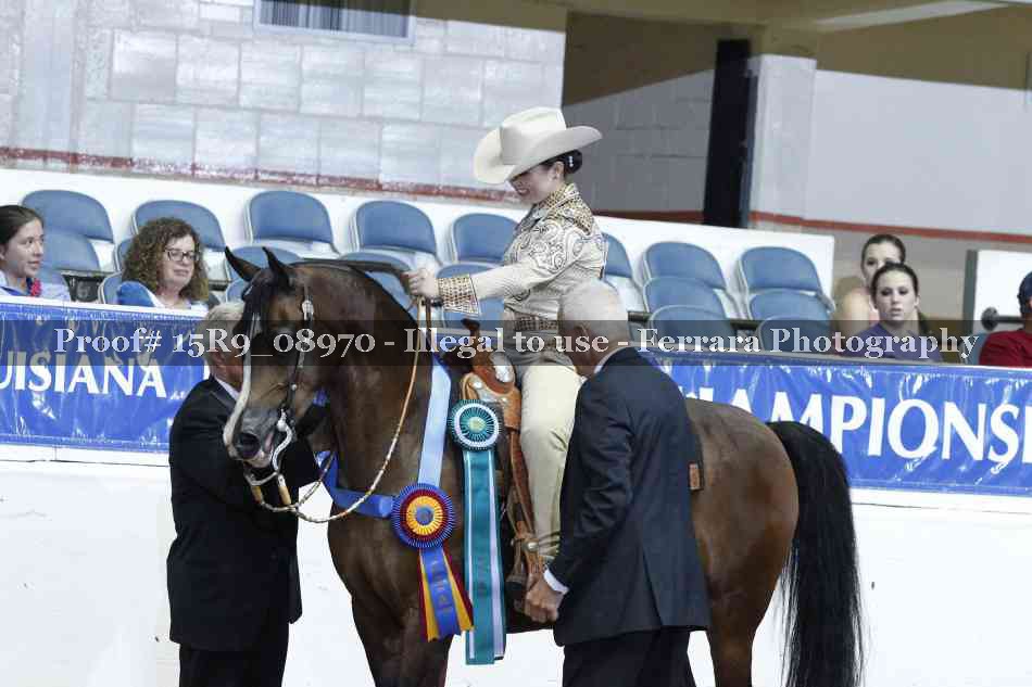 Proof Number 15R9_08970