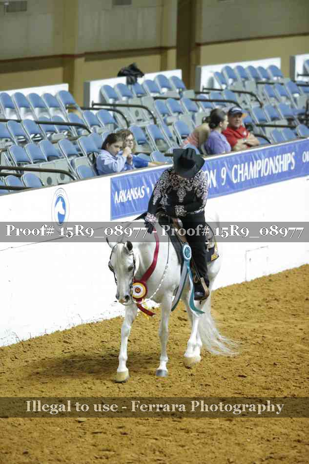 Proof Number 15R9_08977