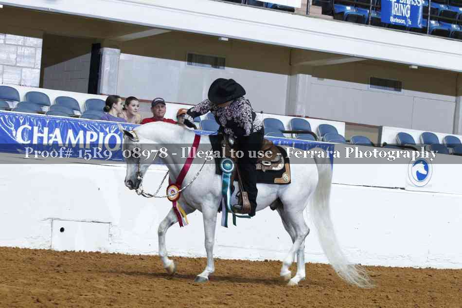 Proof Number 15R9_08978