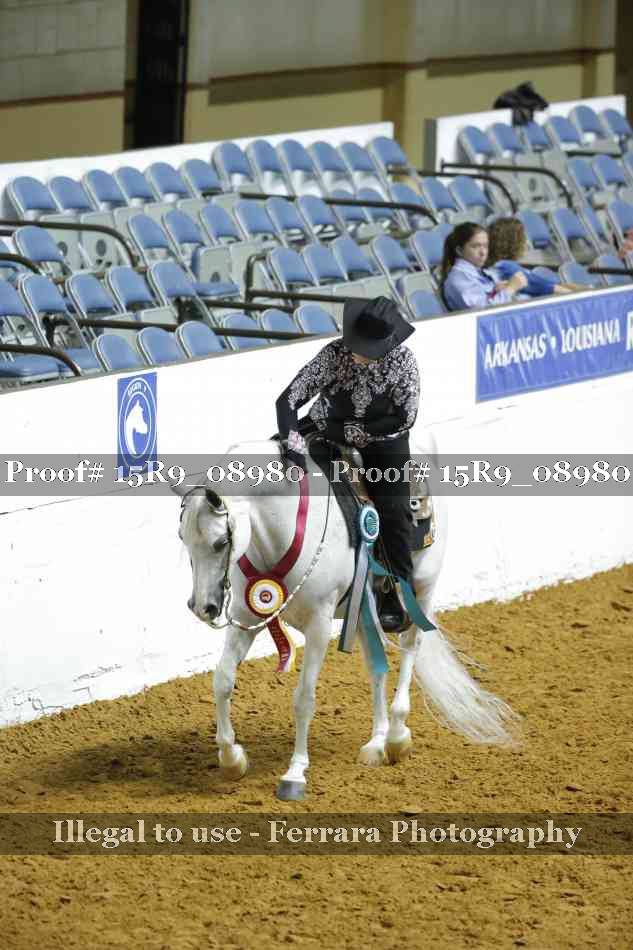 Proof Number 15R9_08980
