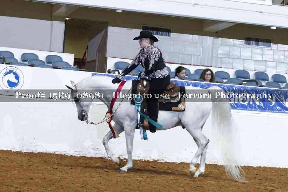 Proof Number 15R9_08981