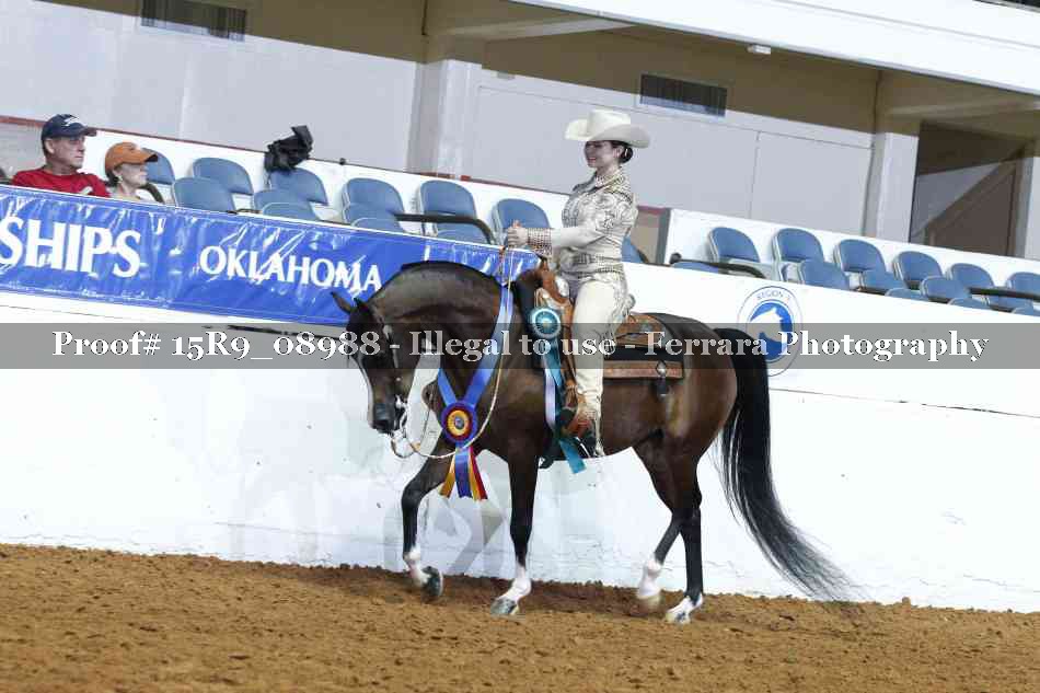 Proof Number 15R9_08988