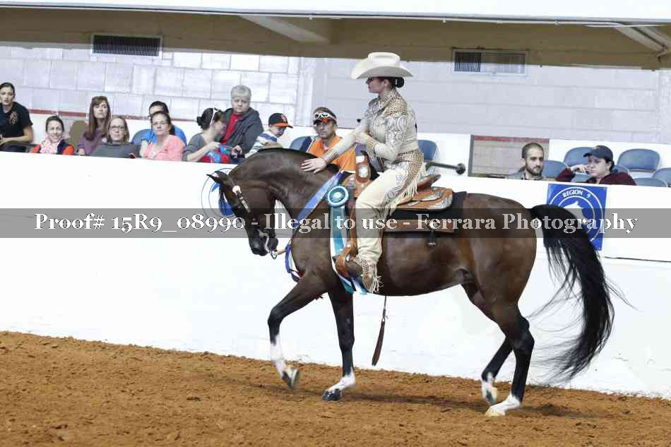 Proof Number 15R9_08990