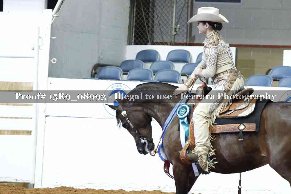 Proof Number 15R9_08993