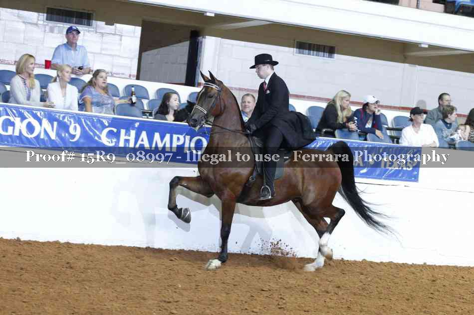 Proof Number 15R9_08997