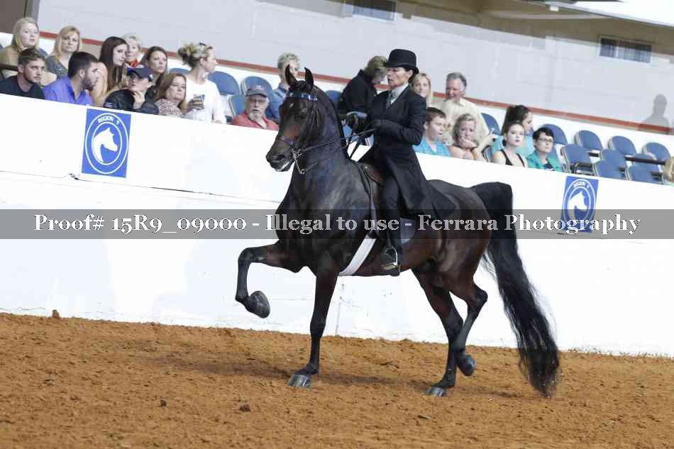 Proof Number 15R9_09000