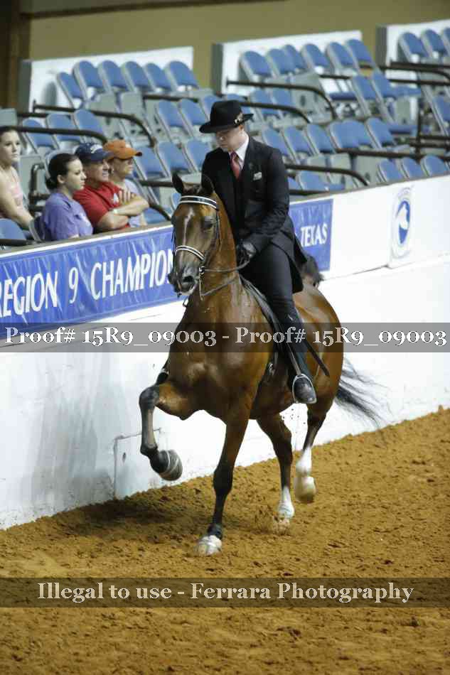 Proof Number 15R9_09003