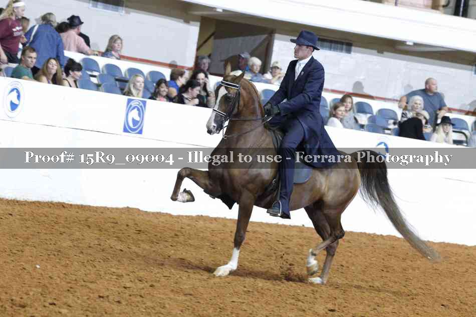 Proof Number 15R9_09004