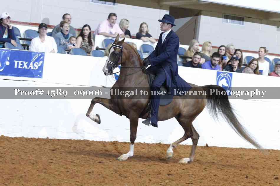Proof Number 15R9_09006