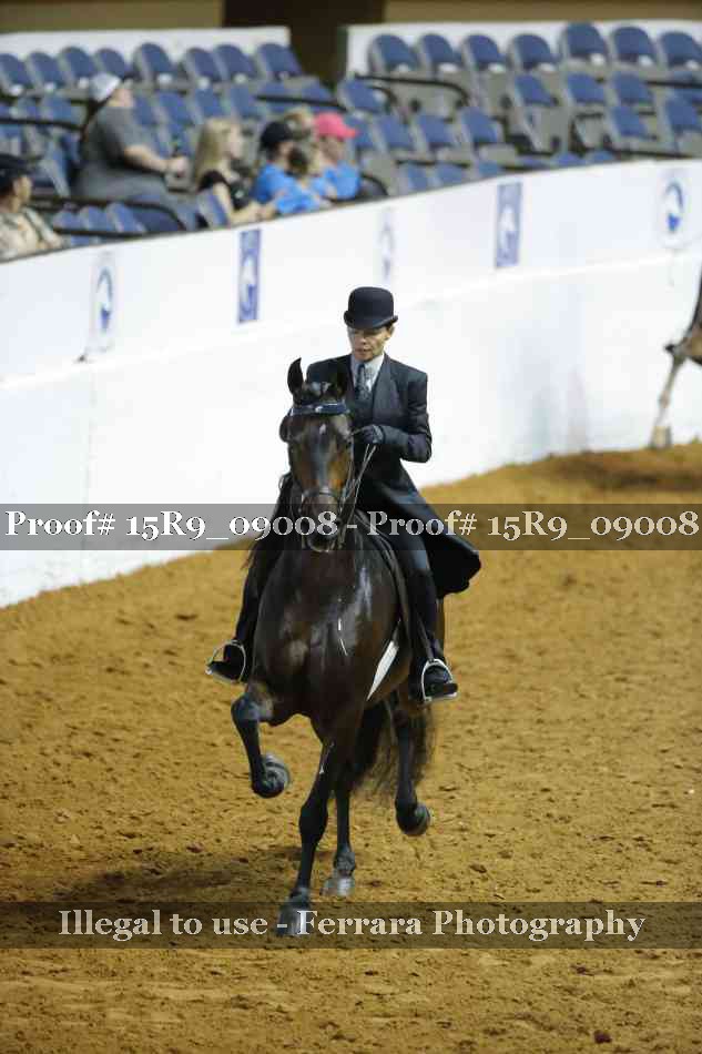 Proof Number 15R9_09008