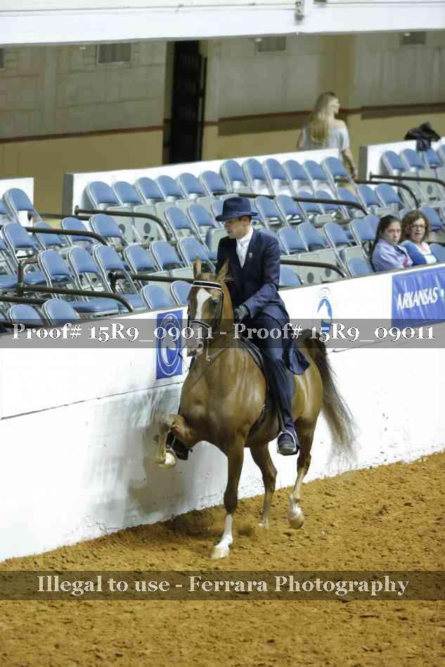 Proof Number 15R9_09011