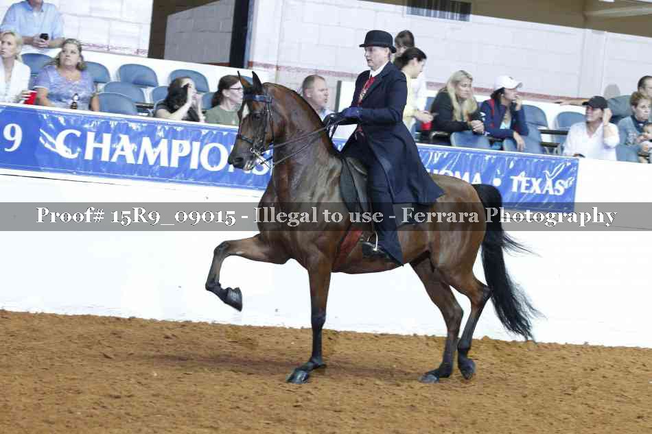 Proof Number 15R9_09015