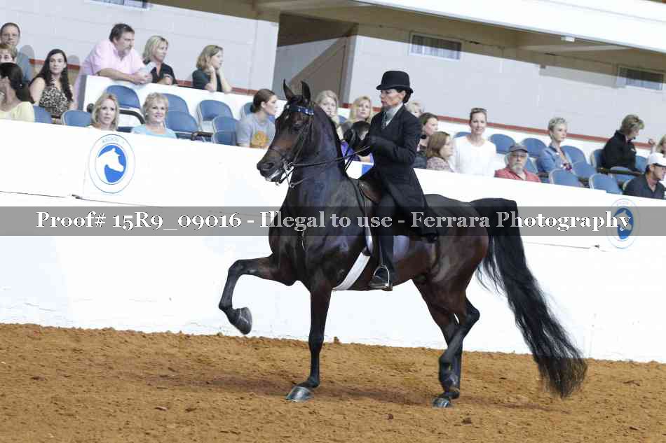 Proof Number 15R9_09016