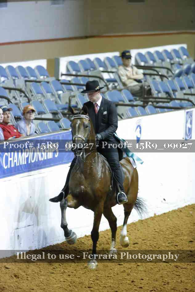 Proof Number 15R9_09027