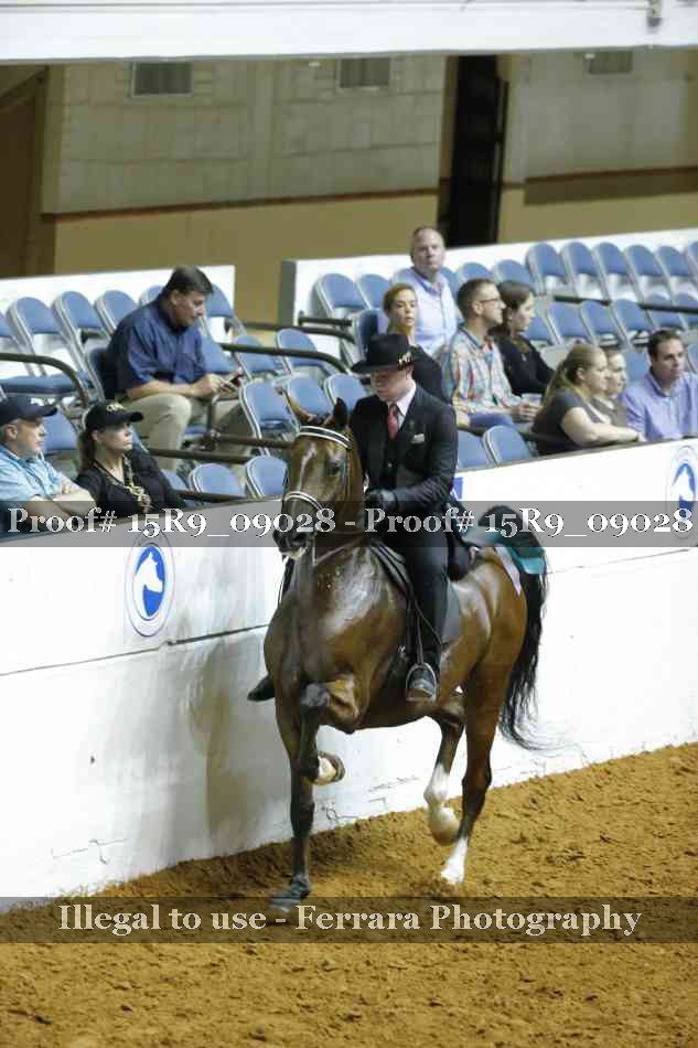 Proof Number 15R9_09028