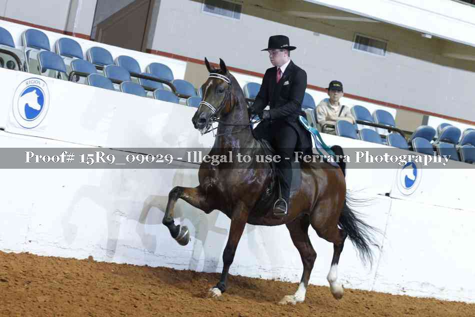 Proof Number 15R9_09029