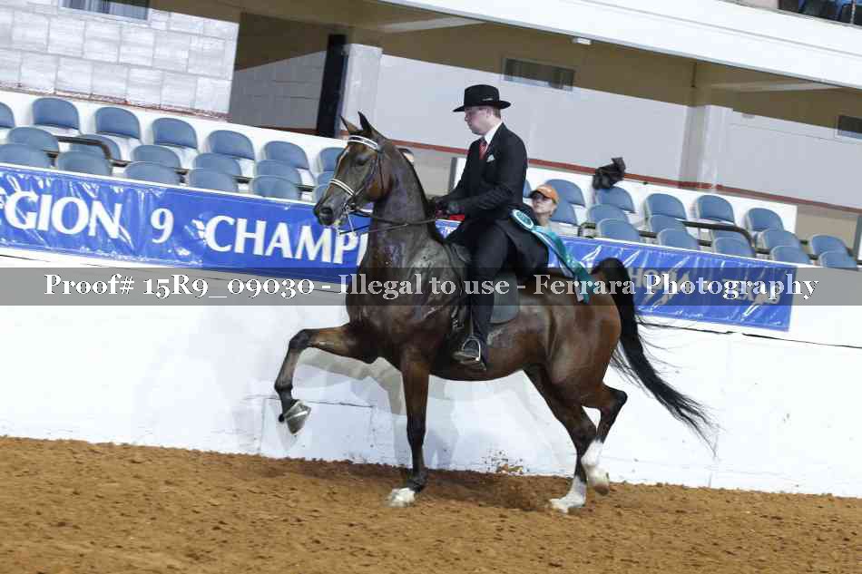 Proof Number 15R9_09030