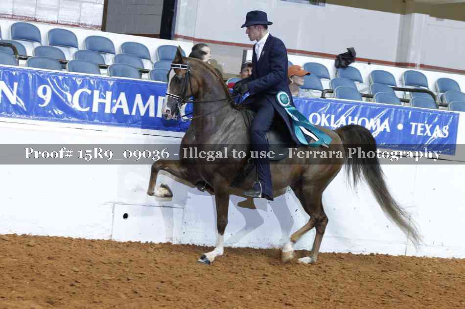 Proof Number 15R9_09036