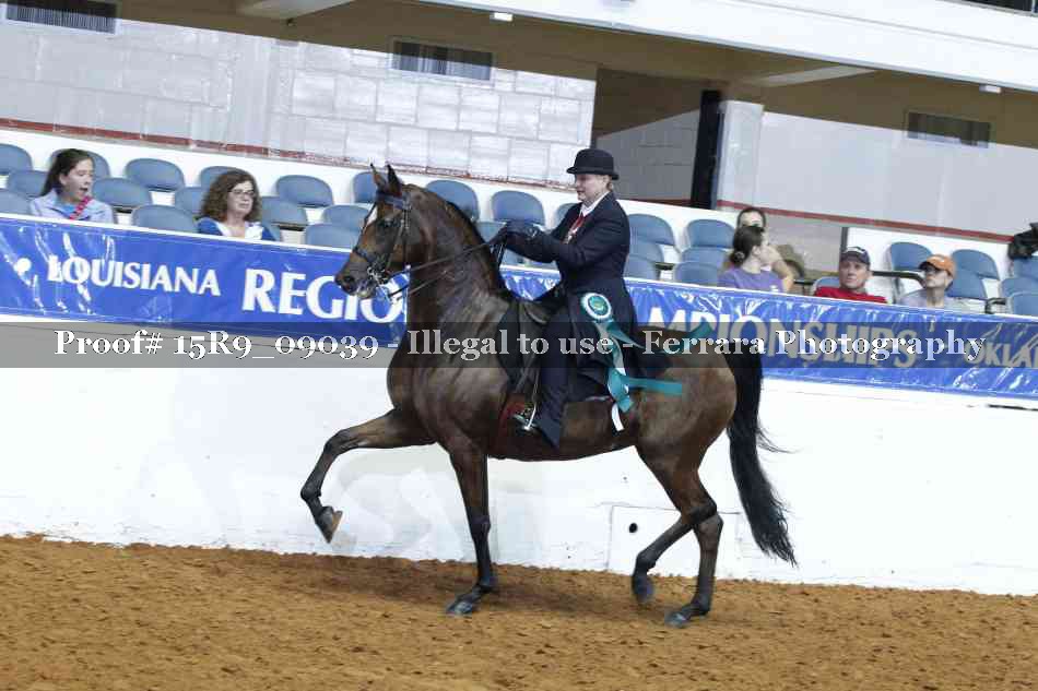 Proof Number 15R9_09039