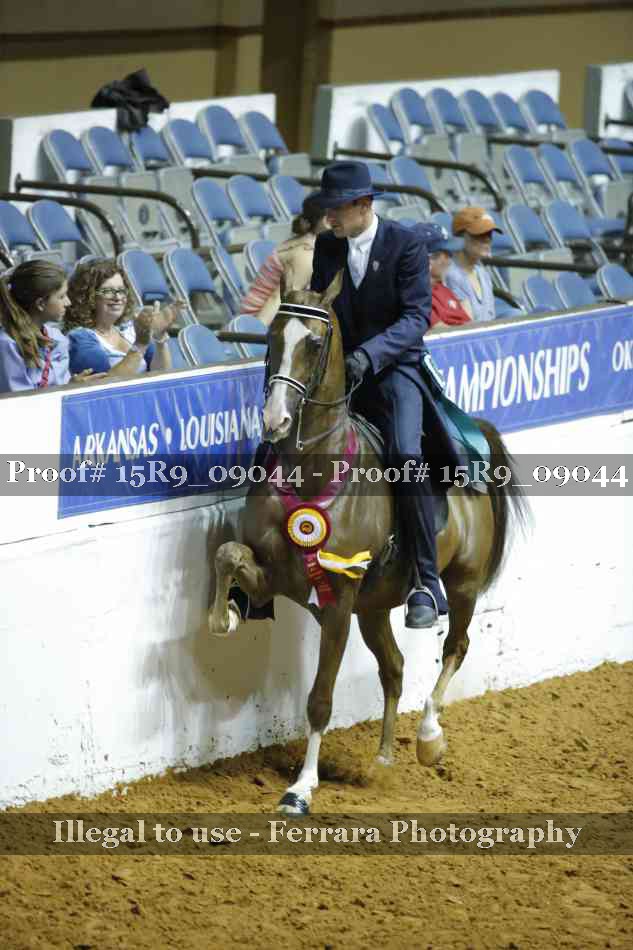 Proof Number 15R9_09044