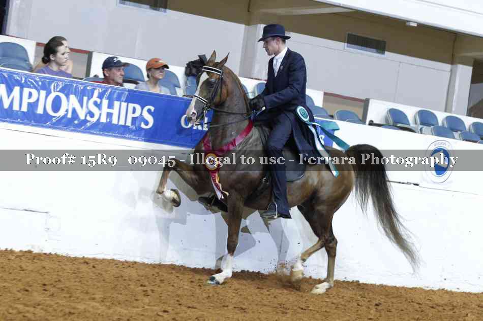 Proof Number 15R9_09045