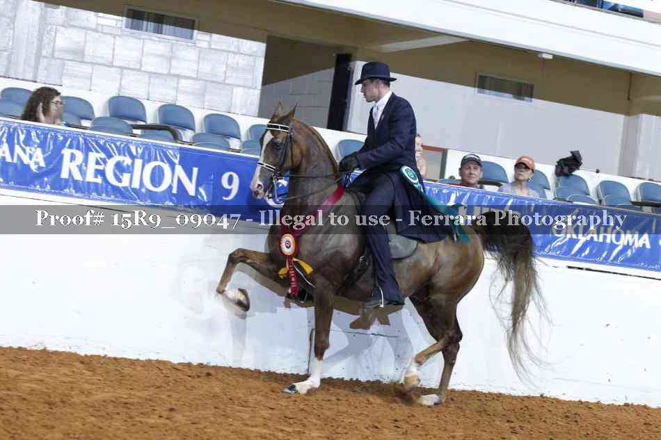 Proof Number 15R9_09047