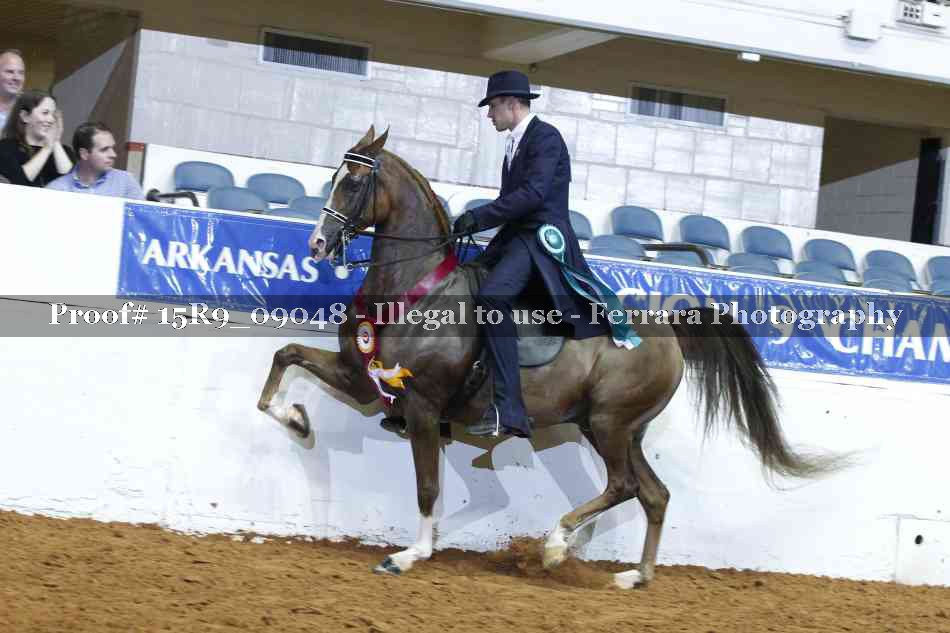 Proof Number 15R9_09048