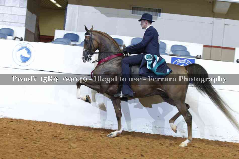 Proof Number 15R9_09049