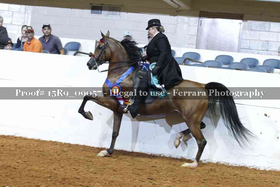 Proof Number 15R9_09057