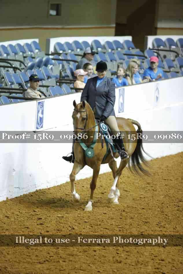 Proof Number 15R9_09086
