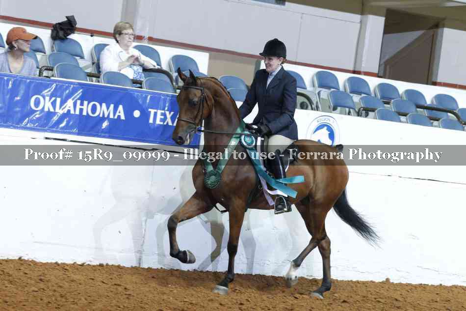 Proof Number 15R9_09099