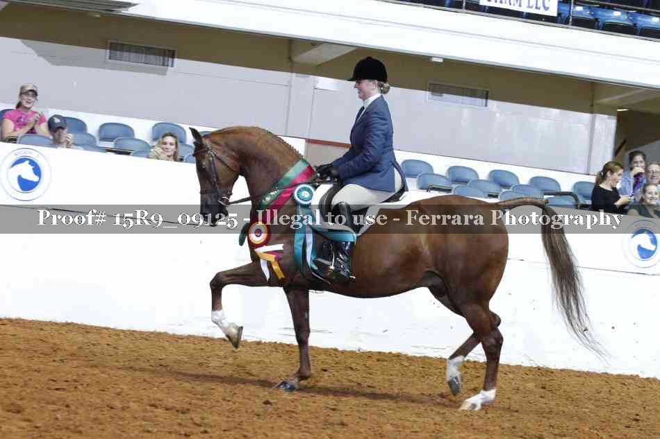 Proof Number 15R9_09125