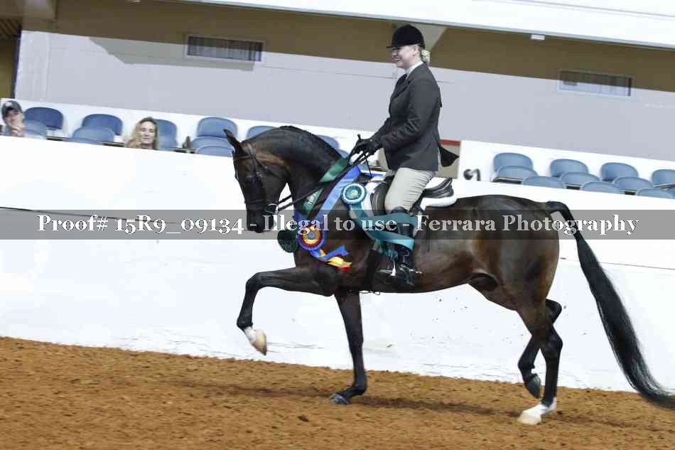 Proof Number 15R9_09134