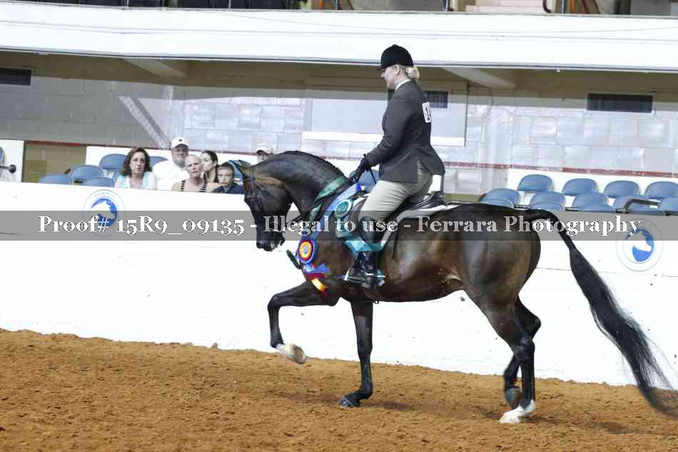 Proof Number 15R9_09135