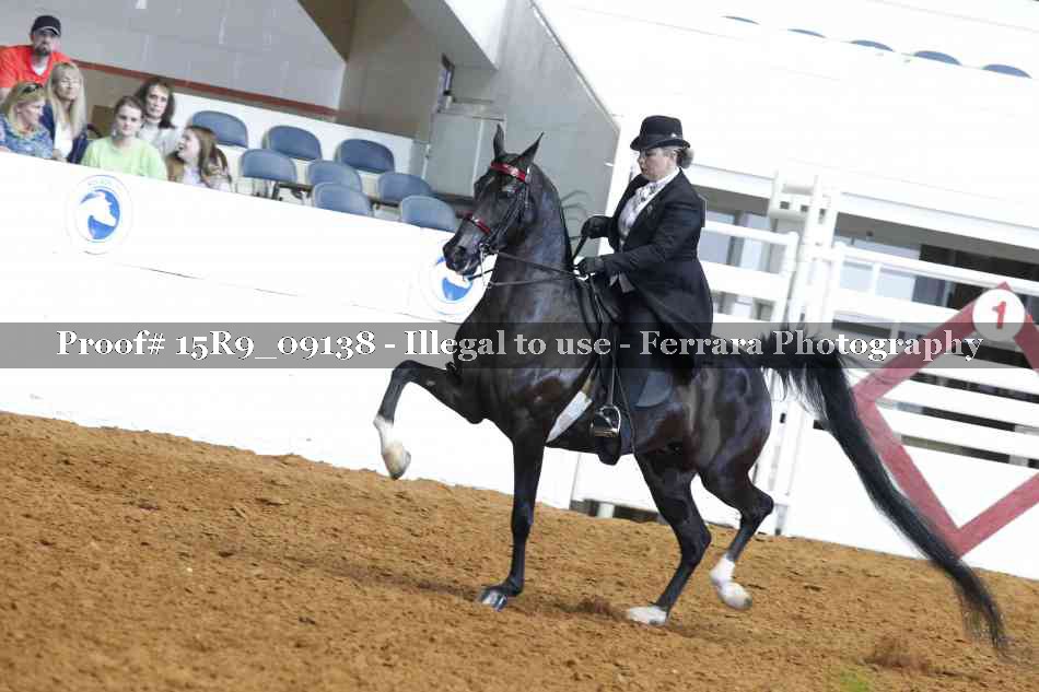 Proof Number 15R9_09138