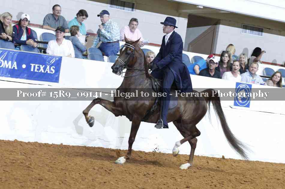 Proof Number 15R9_09141
