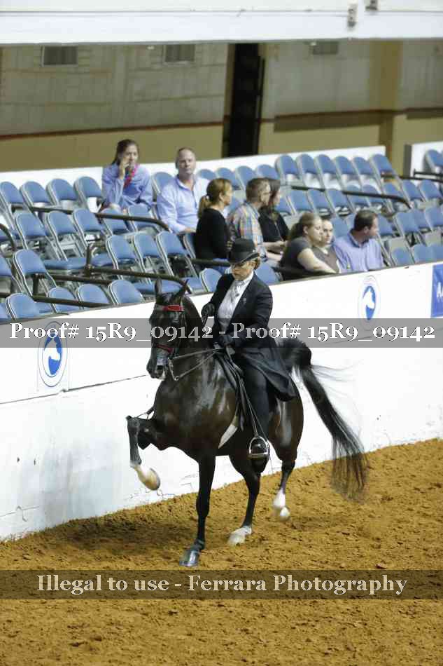 Proof Number 15R9_09142
