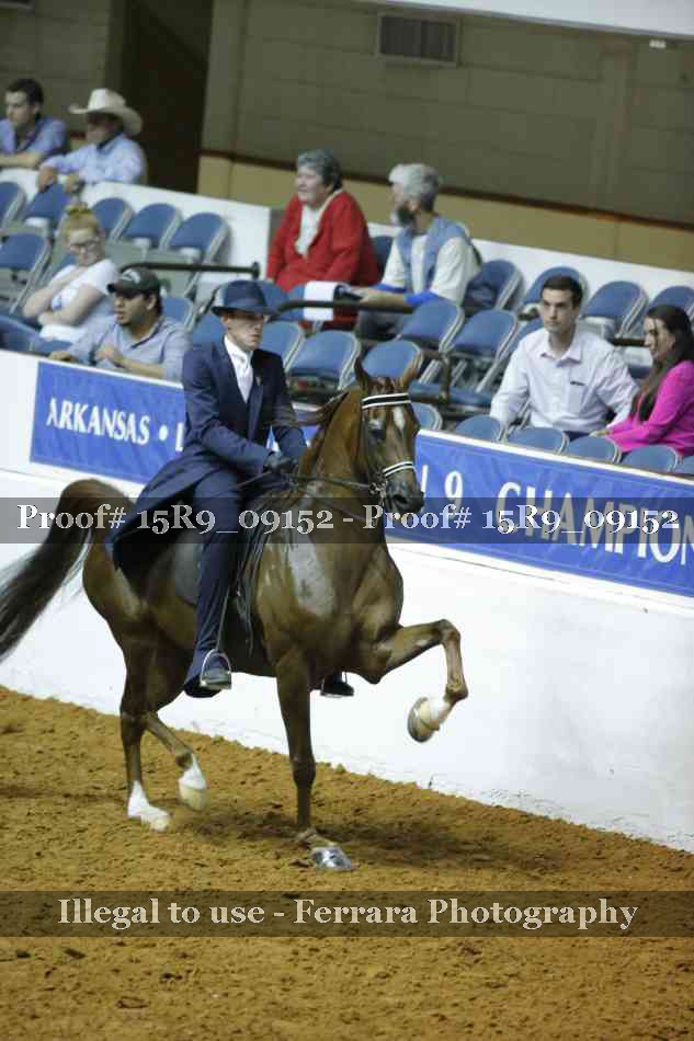 Proof Number 15R9_09152