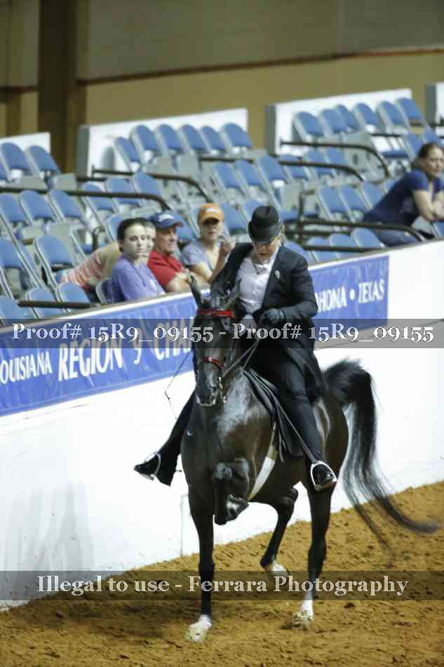 Proof Number 15R9_09155