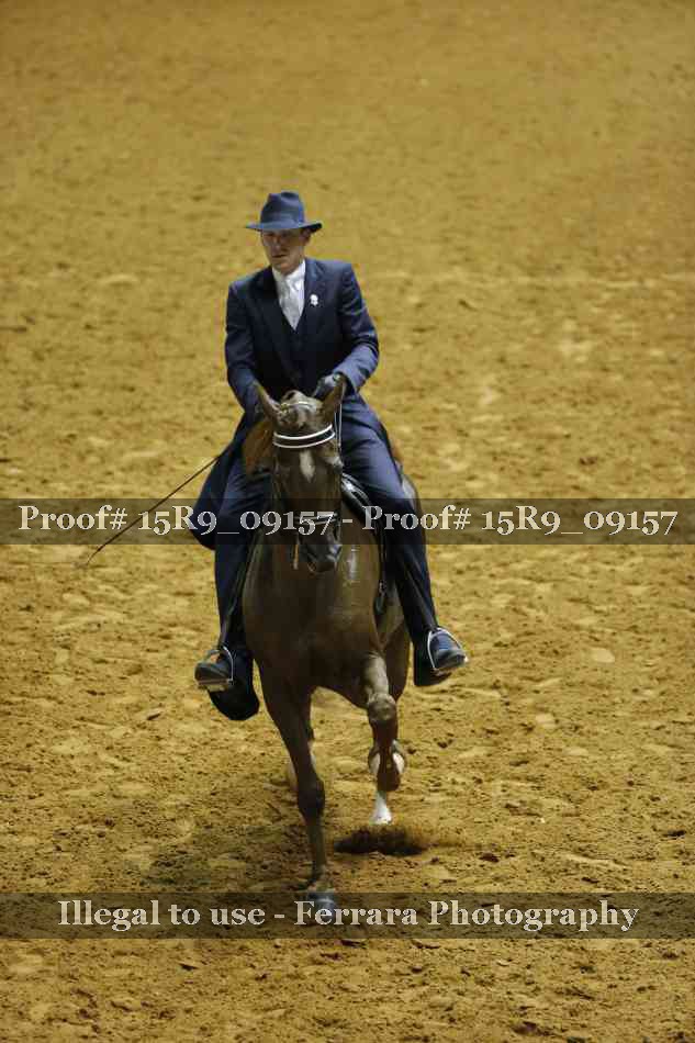 Proof Number 15R9_09157