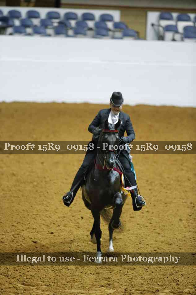 Proof Number 15R9_09158