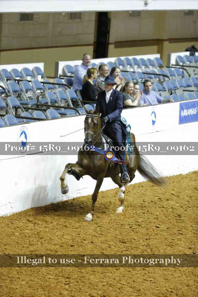 Proof Number 15R9_09162
