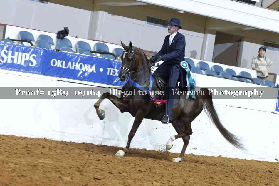 Proof Number 15R9_09164